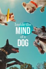 Inside the Mind of a Dog (2024) Sub Indo